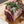 Ficelle de cuisson