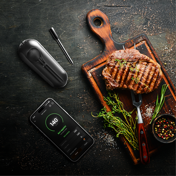 Sonde Meat°it 3